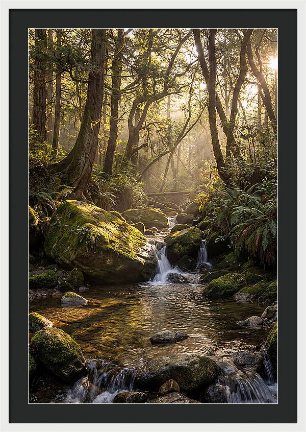 Tanyard Creek Serenity