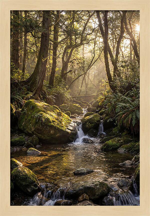 Tanyard Creek Serenity