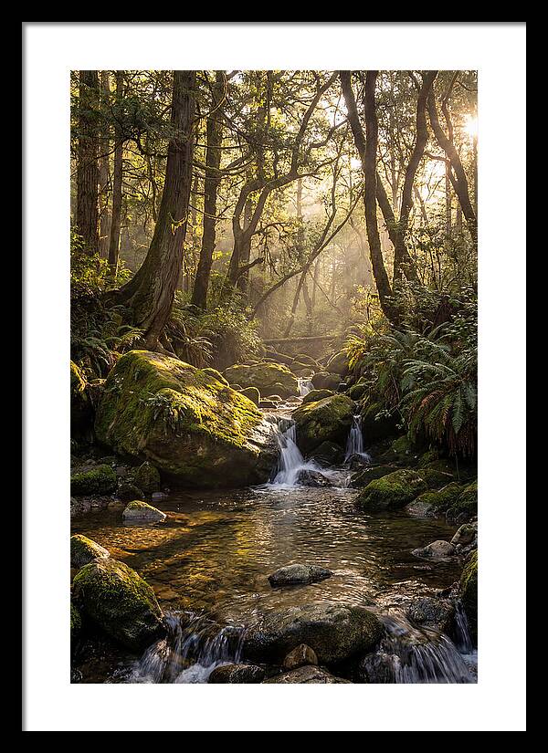 Tanyard Creek Serenity