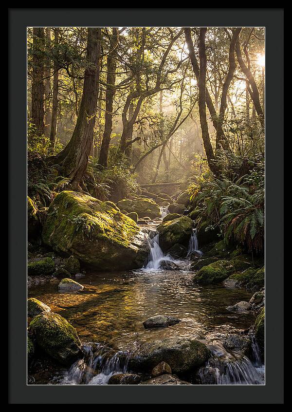 Tanyard Creek Serenity