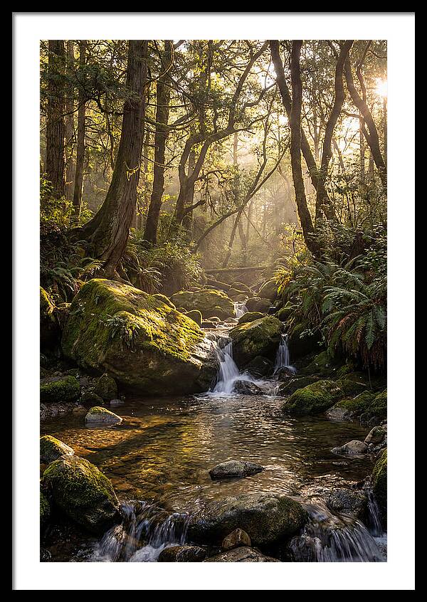 Tanyard Creek Serenity