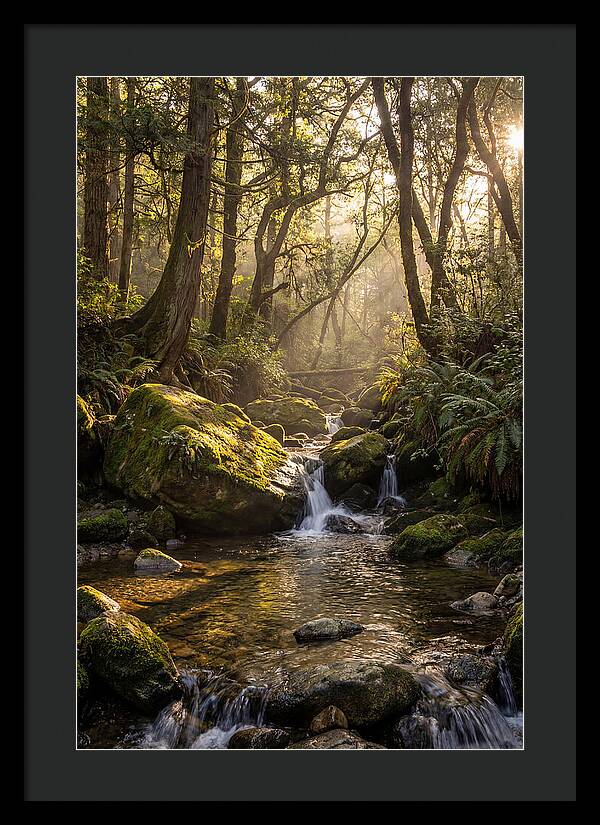 Tanyard Creek Serenity