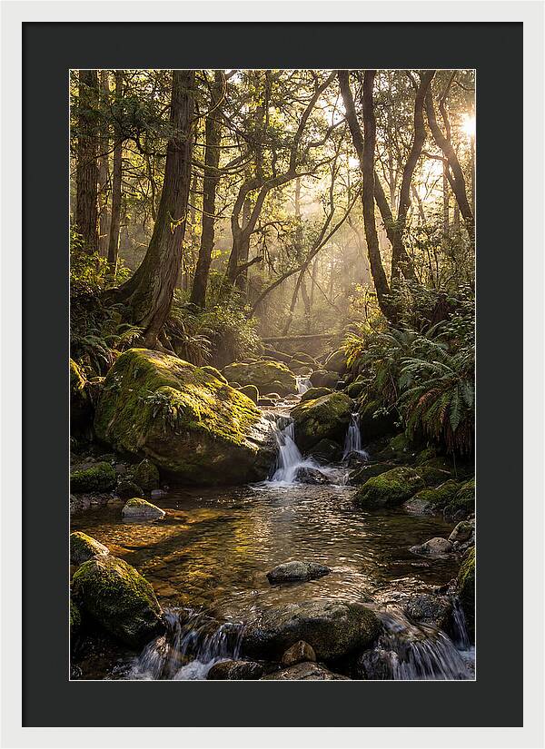 Tanyard Creek Serenity