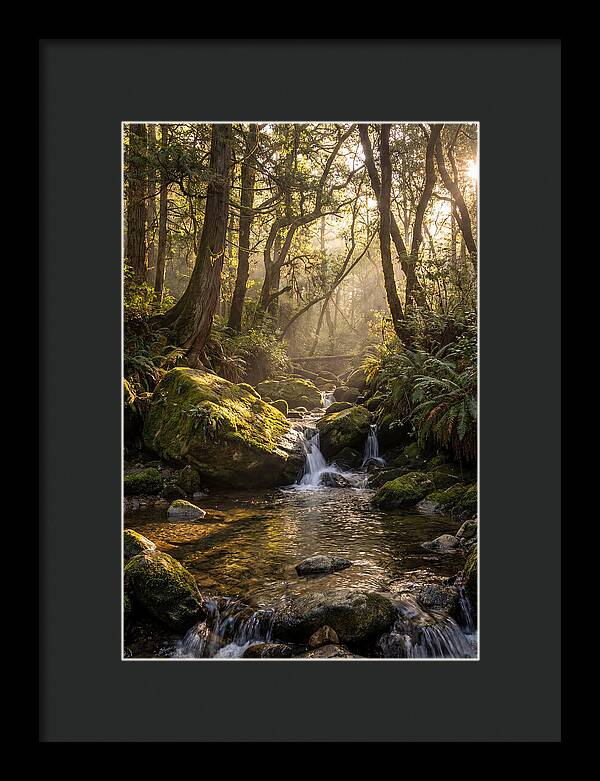Tanyard Creek Serenity