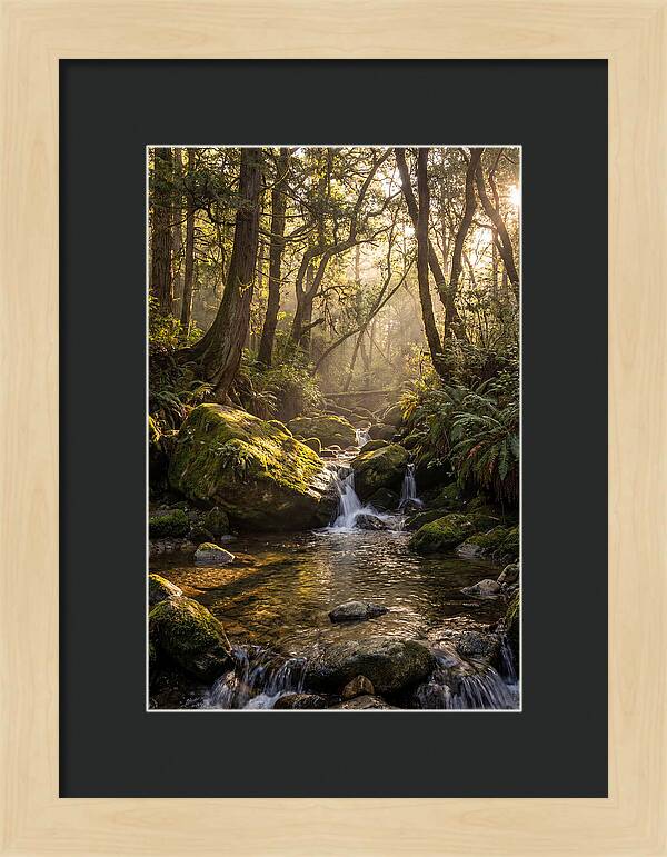 Tanyard Creek Serenity