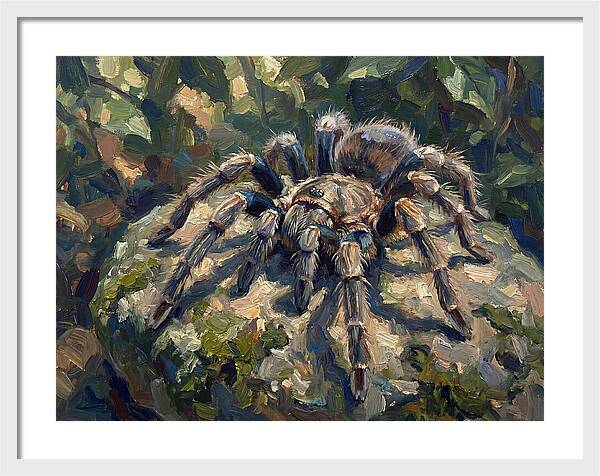 Tarantula Among The Greens