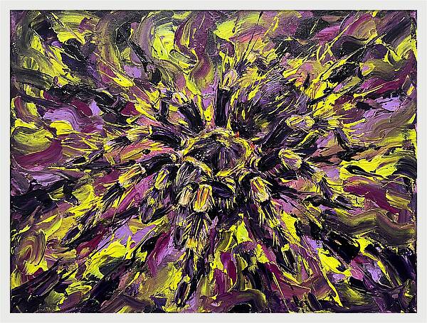 Tarantula Explosion In Color