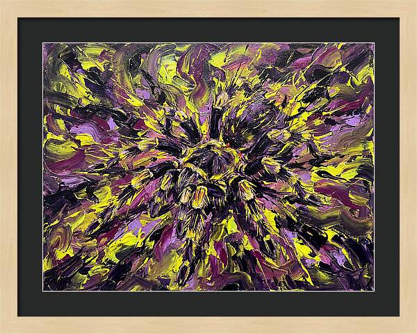 Tarantula Explosion In Color