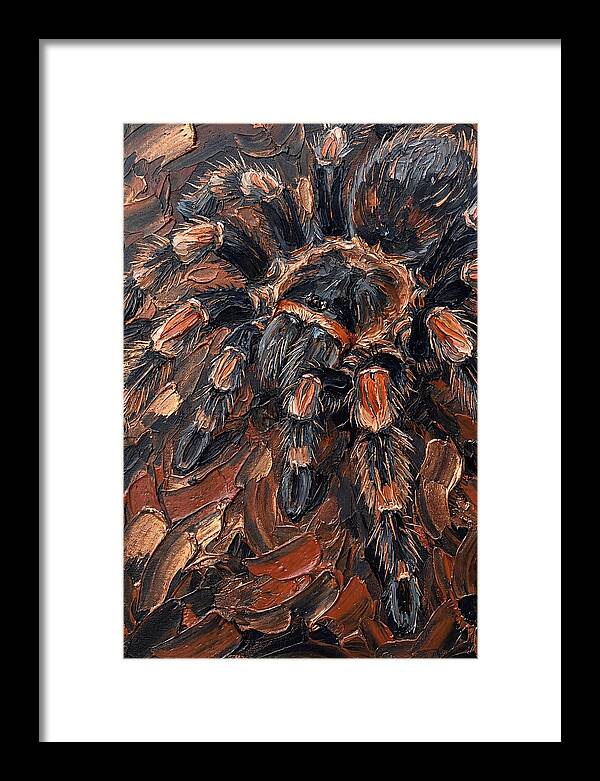 Tarantula In Rich Textures