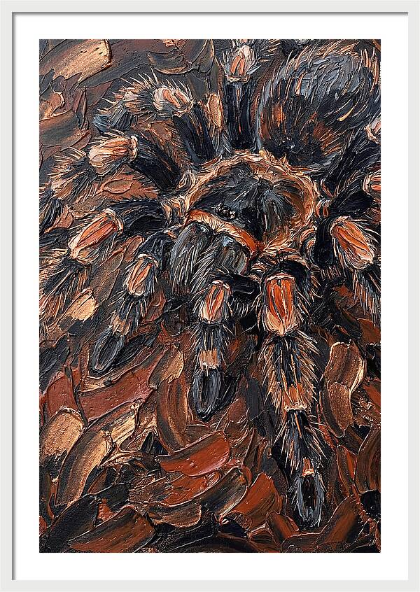 Tarantula In Rich Textures