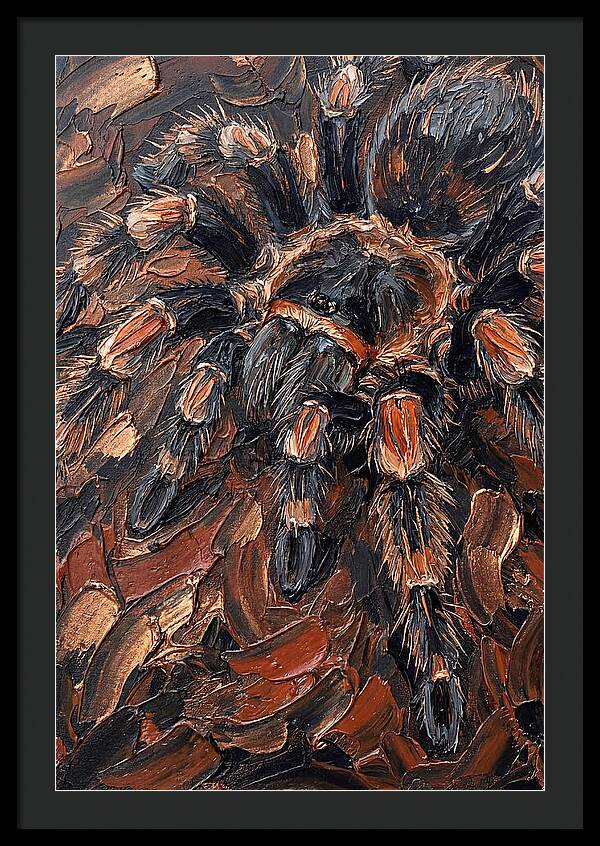 Tarantula In Rich Textures