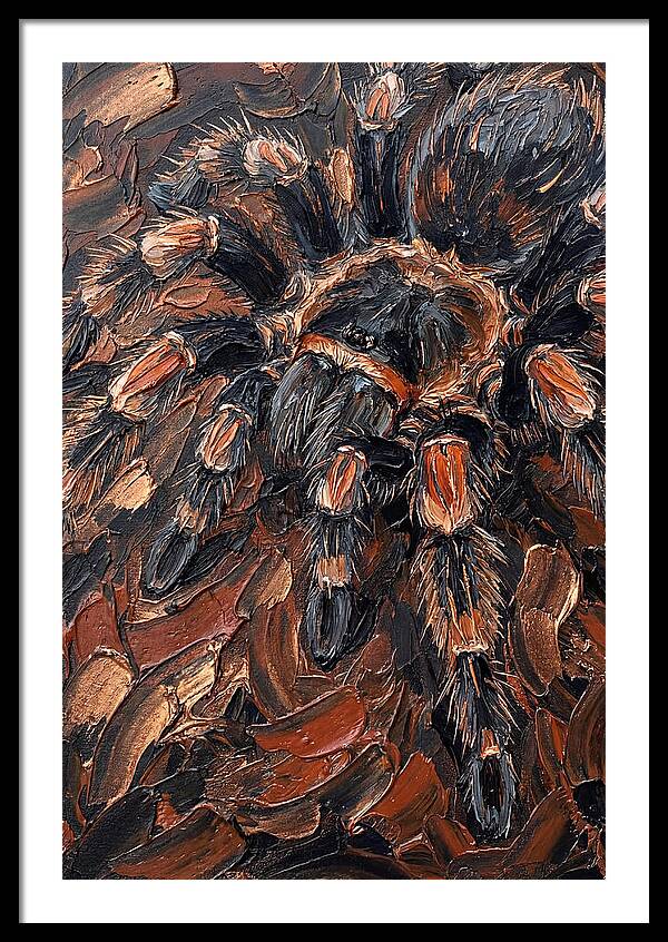 Tarantula In Rich Textures