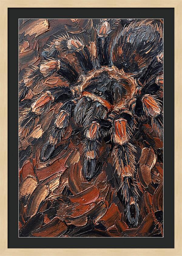 Tarantula In Rich Textures