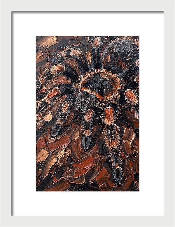 Tarantula In Rich Textures