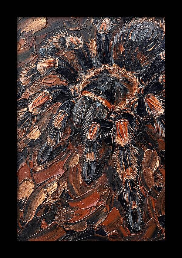 Tarantula In Rich Textures