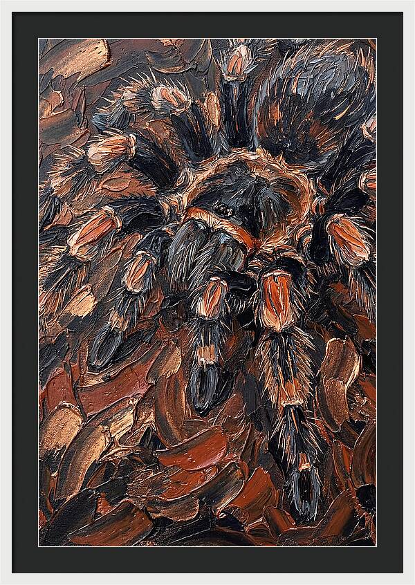 Tarantula In Rich Textures