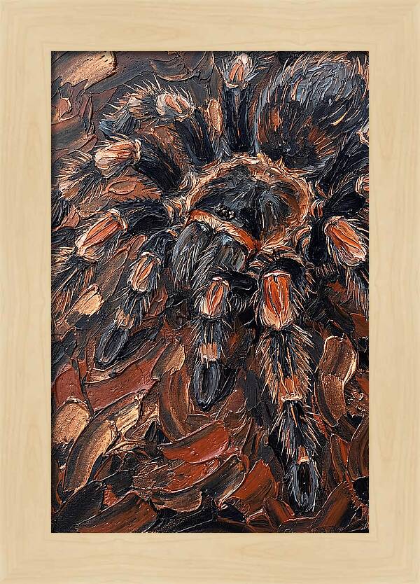 Tarantula In Rich Textures