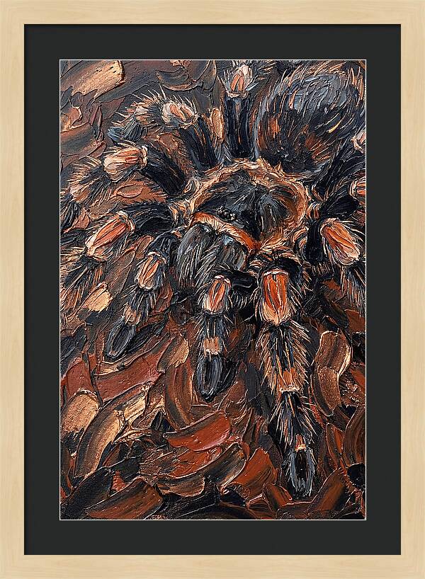 Tarantula In Rich Textures
