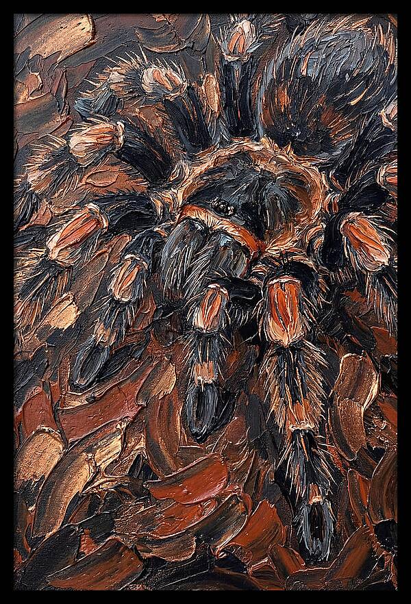 Tarantula In Rich Textures