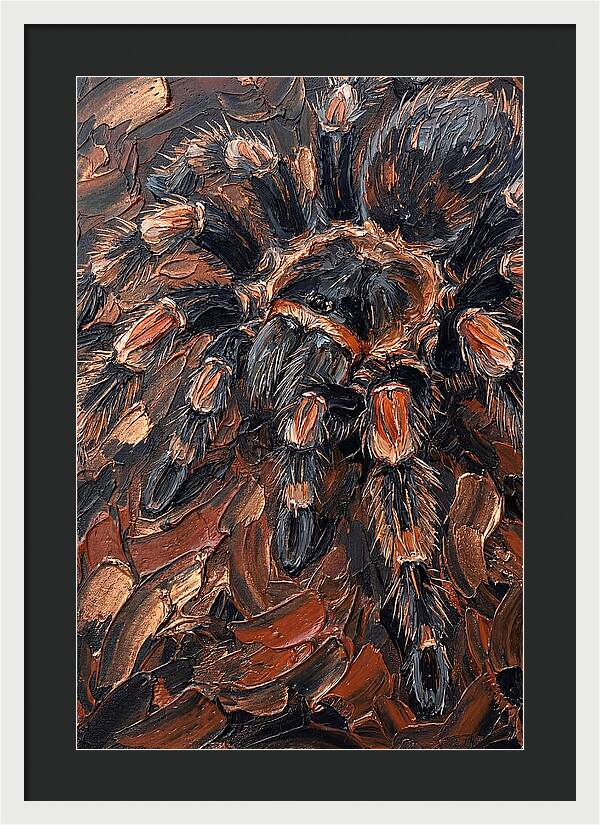 Tarantula In Rich Textures