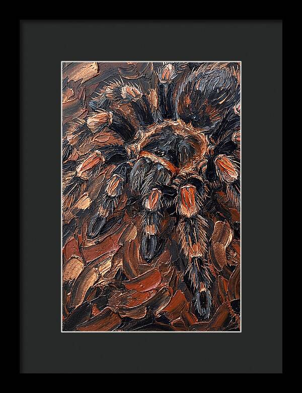 Tarantula In Rich Textures