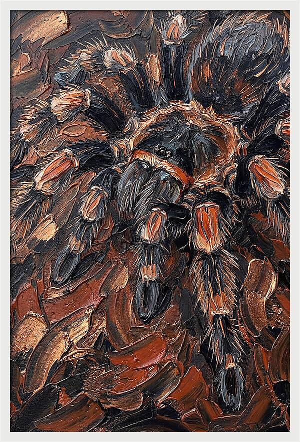 Tarantula In Rich Textures