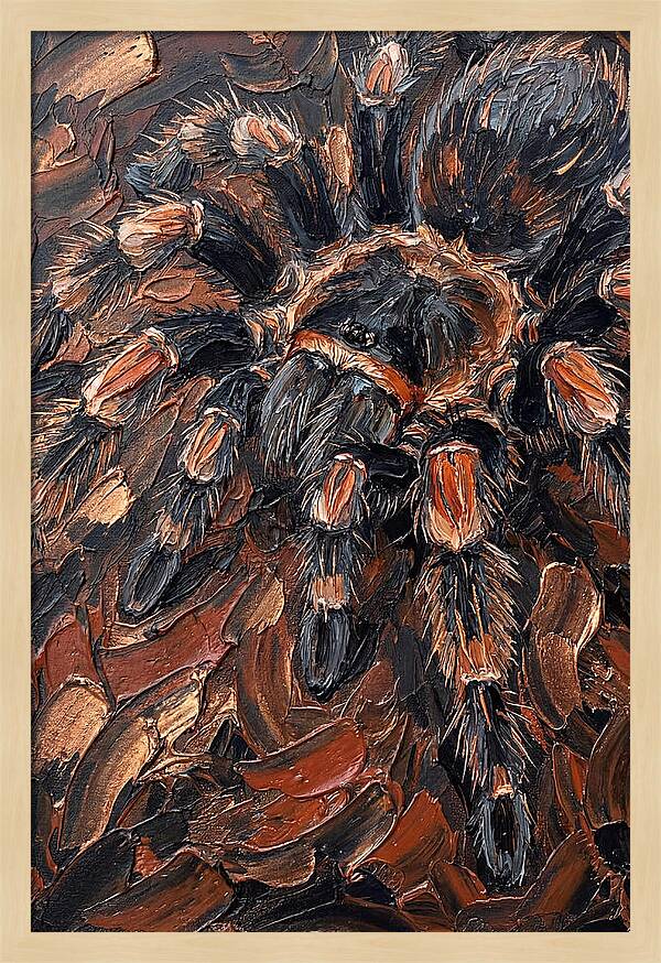 Tarantula In Rich Textures