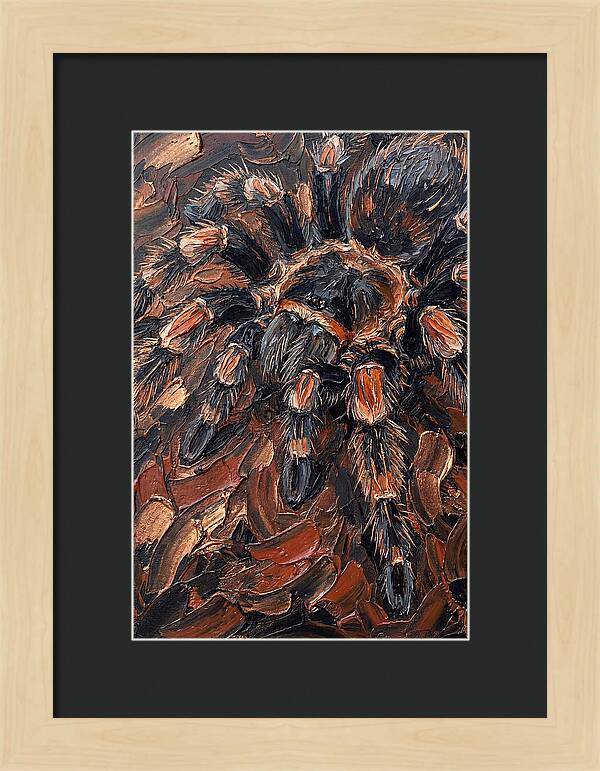 Tarantula In Rich Textures