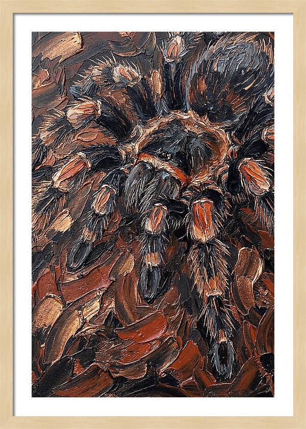 Tarantula In Rich Textures