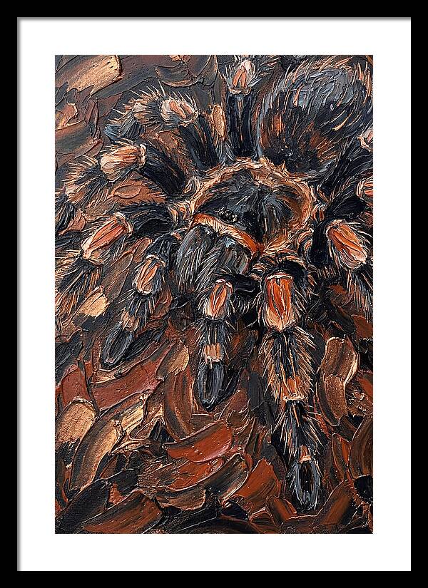 Tarantula In Rich Textures