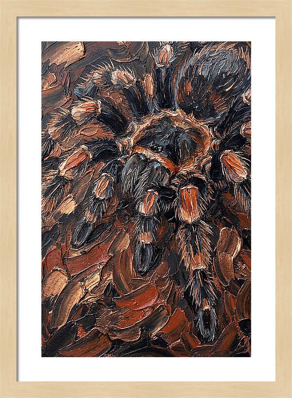 Tarantula In Rich Textures