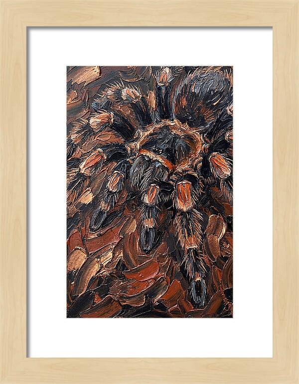 Tarantula In Rich Textures