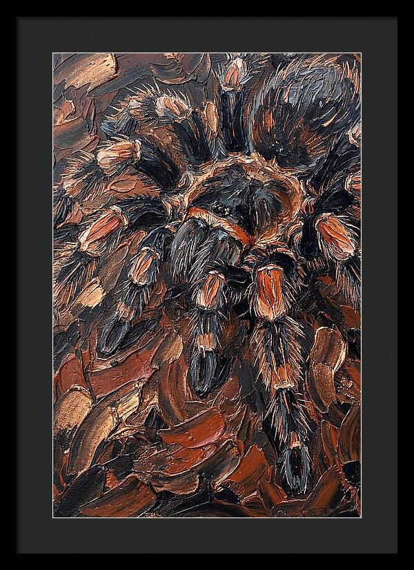 Tarantula In Rich Textures