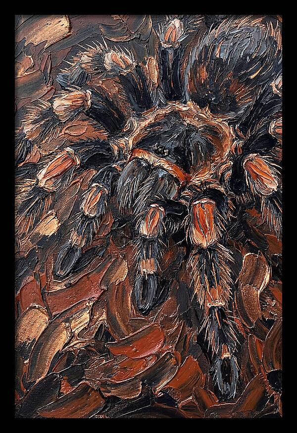 Tarantula In Rich Textures