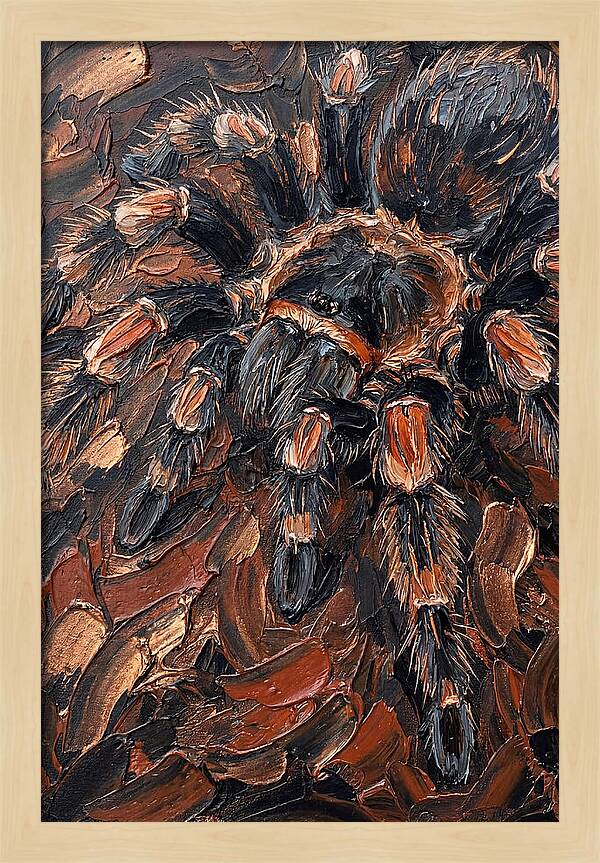 Tarantula In Rich Textures
