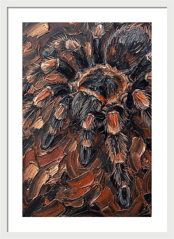 Tarantula In Rich Textures