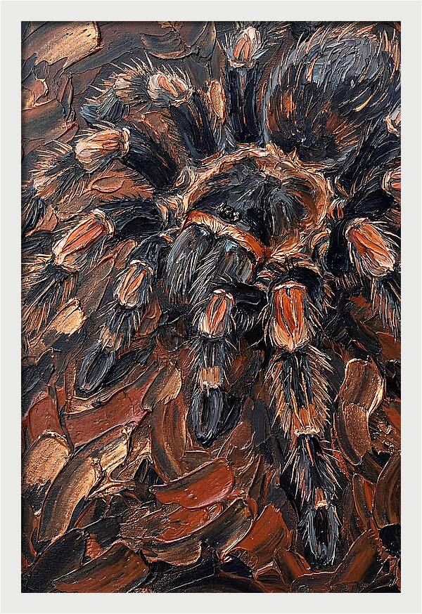 Tarantula In Rich Textures