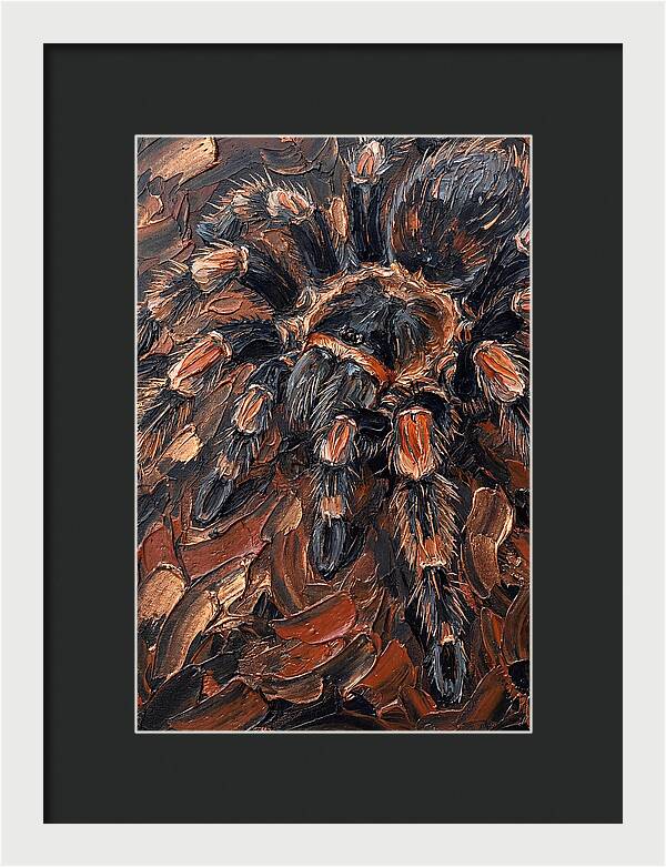 Tarantula In Rich Textures