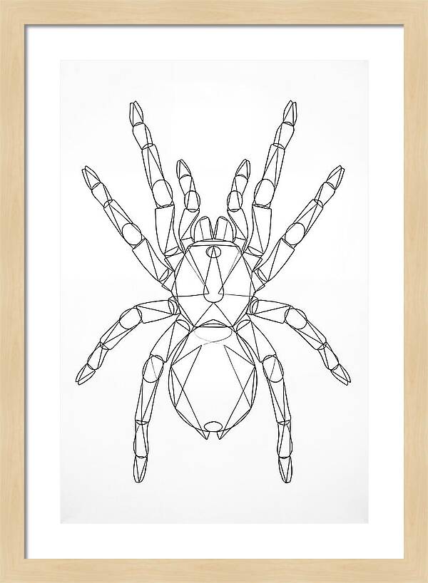 Tarantula Minimalist
