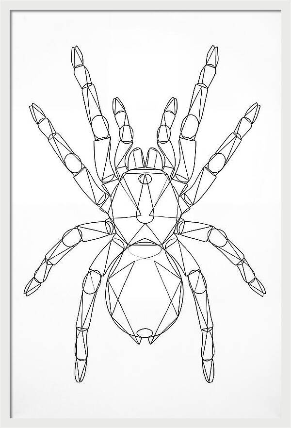 Tarantula Minimalist