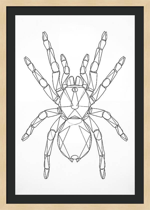 Tarantula Minimalist