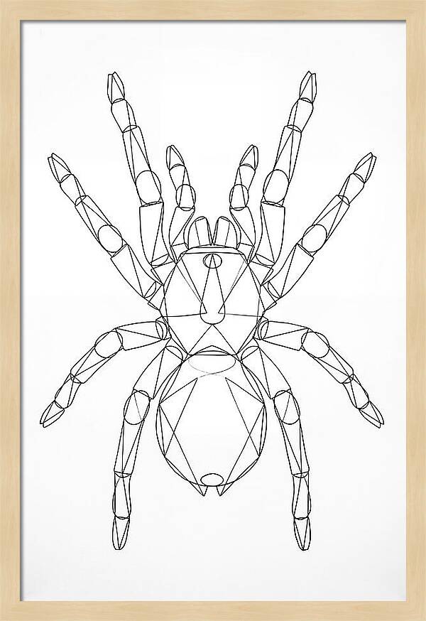 Tarantula Minimalist