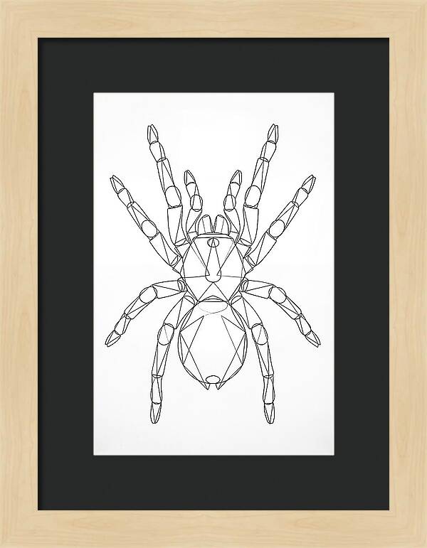 Tarantula Minimalist