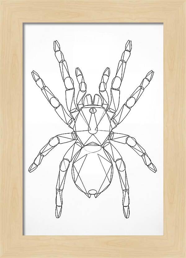 Tarantula Minimalist