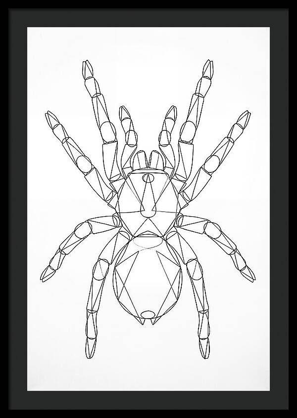 Tarantula Minimalist