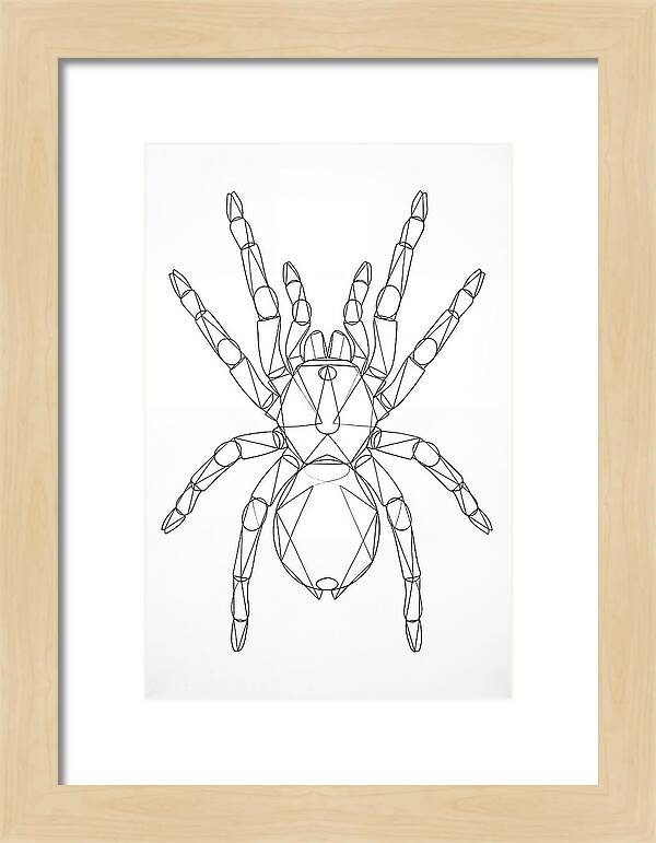Tarantula Minimalist