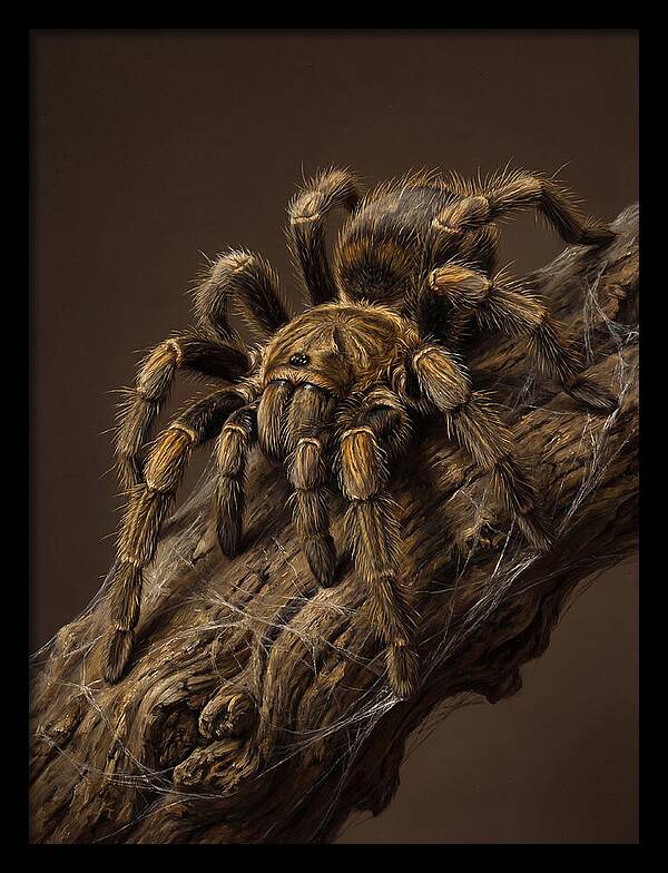 Tarantula On A Branch