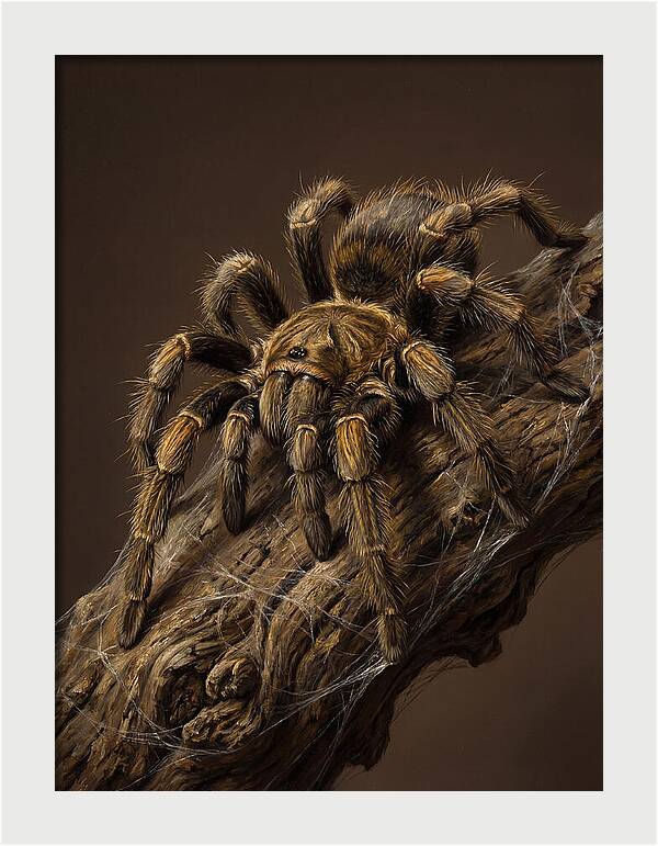 Tarantula On A Branch