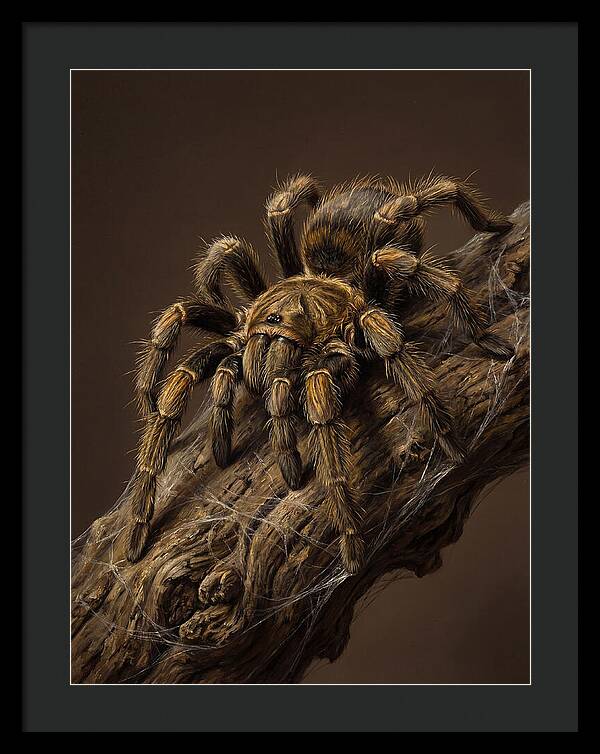 Tarantula On A Branch