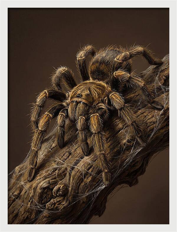 Tarantula On A Branch